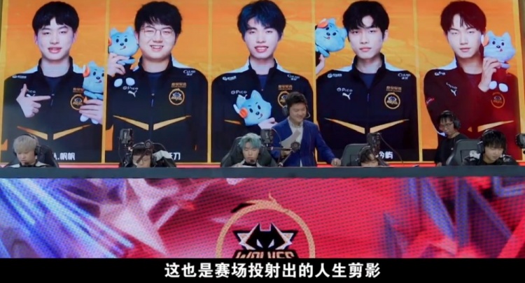 们不敢轻易