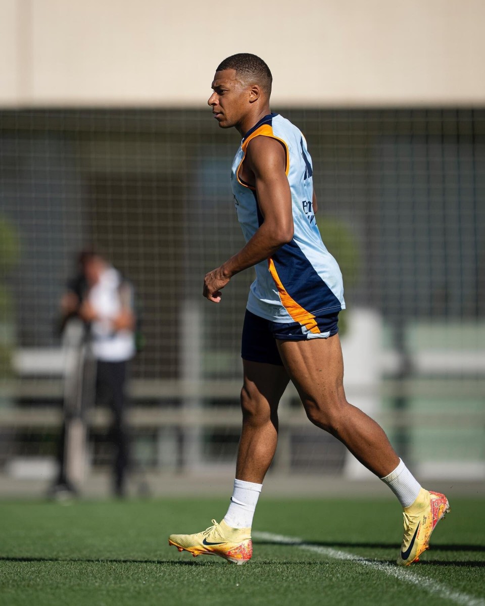 上升期的强 上升期的强